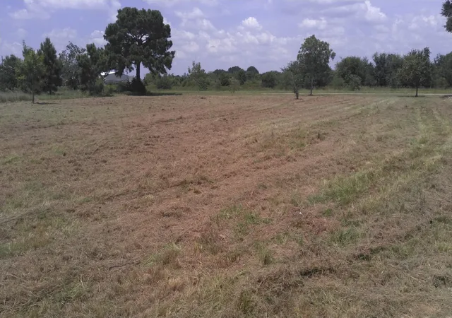 4th image of 32519 Gadwall St, Brookshire, TX 77423 | MLS# 11820500