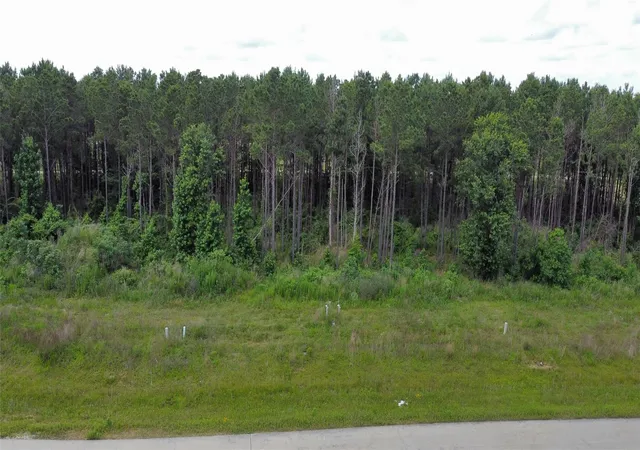 Photo 1 of Land for sale at 8040 Road 5895, Cleveland, TX 77327 | MLS# 79823919 | Listing updated on 2026-08-26