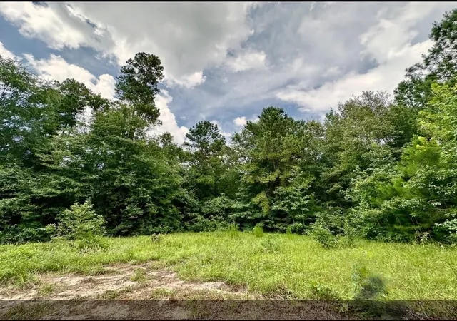 Homes for sale in Groveton, TX | 2370 Westville Road, Groveton, TX 75845 | MLS# 40539944