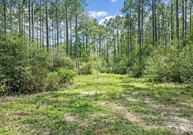 Homes for sale in Groveton, TX | 2370 Westville Road, Groveton, TX 75845 | MLS# 40539944