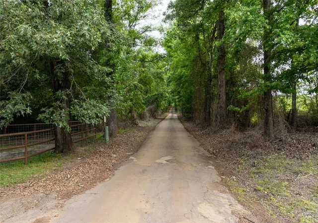 5th image of Tbd County Rd 1584, Avinger, TX 75630 | MLS# 50726485
