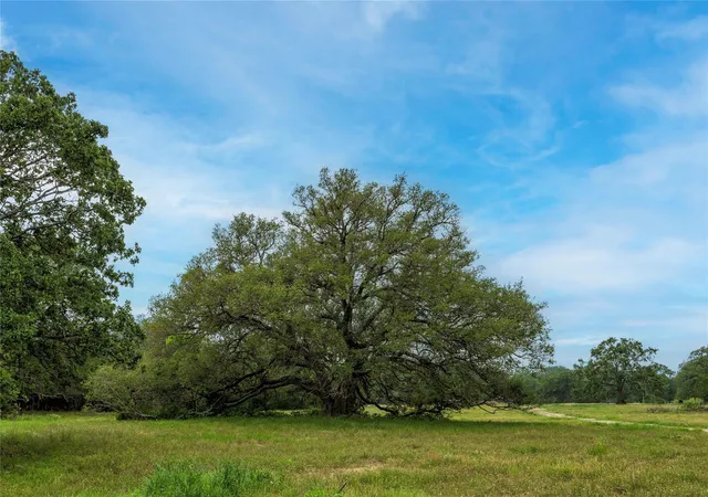 Photo 3 of Land for sale at 2570 Burke Rd, Flatonia, TX 78941 | MLS# 74409206 | Listing updated on 2026-05-14