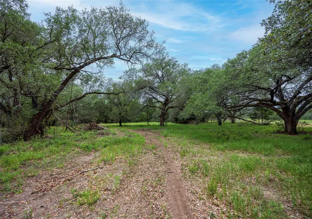 Photo 4 of Land for sale at 2570 Burke Rd, Flatonia, TX 78941 | MLS# 74409206 | Listing updated on 2026-10-05