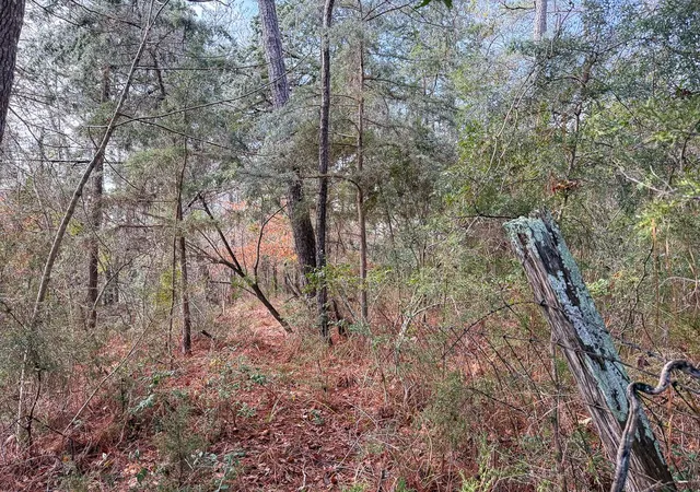 14th image of 19423 Hwy 190 E, Livingston, TX 77351 | MLS# 58266957