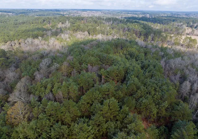 3rd image of 19423 Hwy 190 E, Livingston, TX 77351 | MLS# 58266957