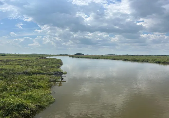 3rd image of 0 Fm-2853, Palacios, TX 77465 | MLS# 10968247