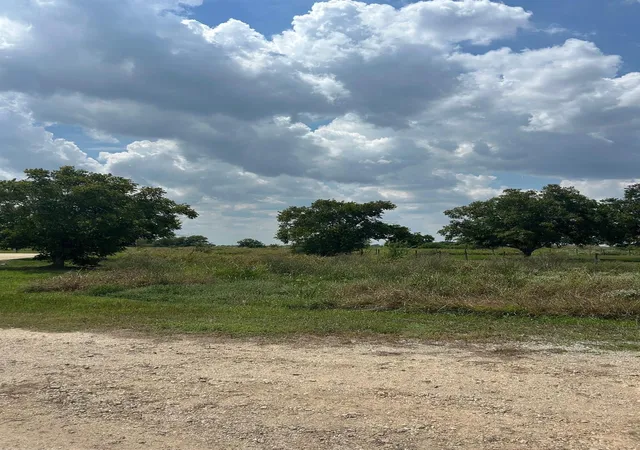6th image of 0 Fm 2853, Palacios, TX 77465 | MLS# 10968247