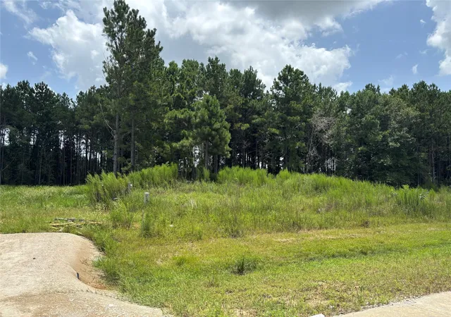 Photo 1 of Land for sale at 9056 Road 5503, New Caney, TX 77357 | MLS# 94414382 | Listing updated on 2026-07-20