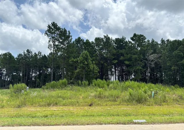 Photo 2 of Land for sale at 9056 Road 5503, New Caney, TX 77357 | MLS# 94414382 | Listing updated on 2026-07-20