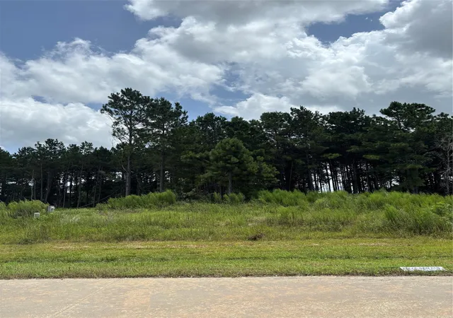 Photo 3 of Land for sale at 9056 Road 5503, New Caney, TX 77357 | MLS# 94414382 | Listing updated on 2026-07-20