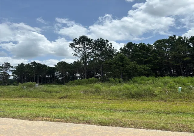 Photo 3 of Land for sale at 9056 Road 5503, New Caney, TX 77357 | MLS# 94414382 | Listing updated on 2026-07-20