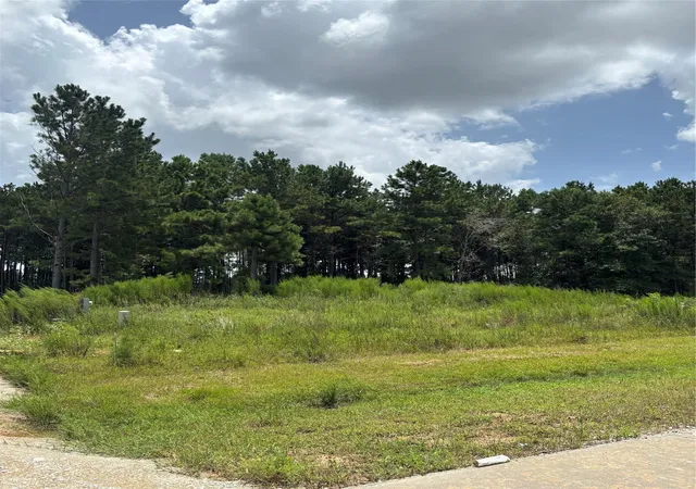 Photo 4 of Land for sale at 9056 Road 5503, New Caney, TX 77357 | MLS# 94414382 | Listing updated on 2026-07-20