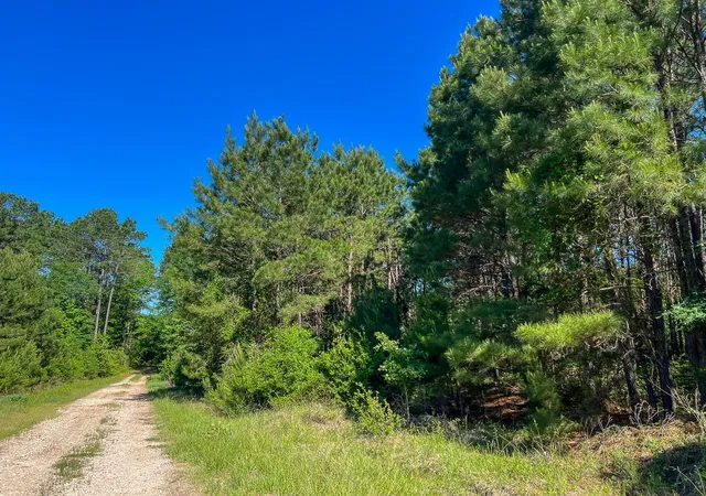 Homes for sale in Groveton, TX | T 1 Fm 355 Eliot, Groveton, TX 75845 | MLS# 63391726