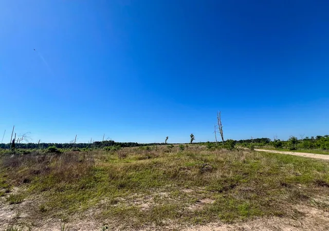 Homes for sale in Groveton, TX | T-1 Fm 355 Eliot, Groveton, TX 75845 | MLS# 63391726