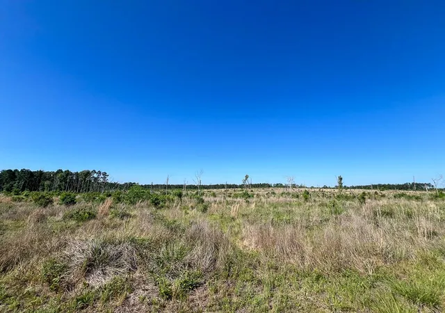 Homes for sale in Groveton, TX | T-1 Fm 355 Eliot, Groveton, TX 75845 | MLS# 63391726