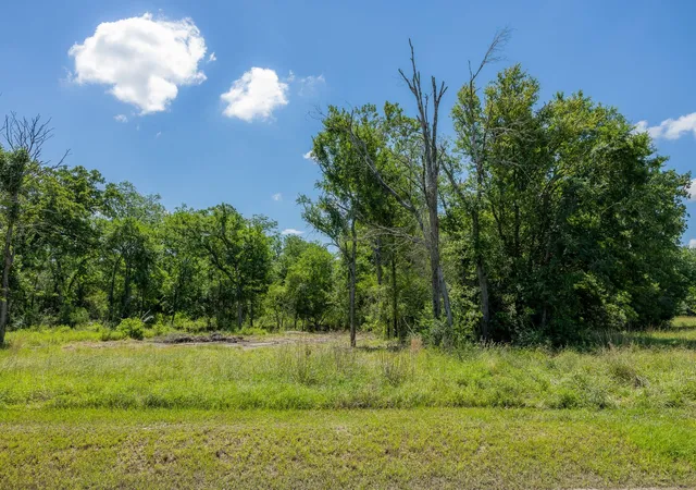Homes for sale in Bedias, TX | 10649 Atakapan Trail, Bedias, TX 77831 | MLS# 12541247
