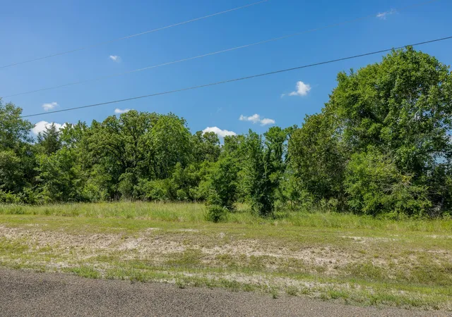 Homes for sale in Bedias, TX | 10649 Atakapan Trail, Bedias, TX 77831 | MLS# 12541247