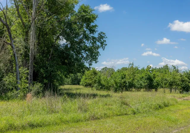 Homes for sale in Bedias, TX | 10649 Atakapan Trail, Bedias, TX 77831 | MLS# 12541247