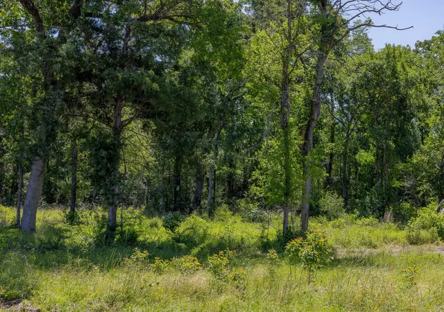 Homes for sale in Bedias, TX | 10649 Atakapan Trail, Bedias, TX 77831 | MLS# 12541247