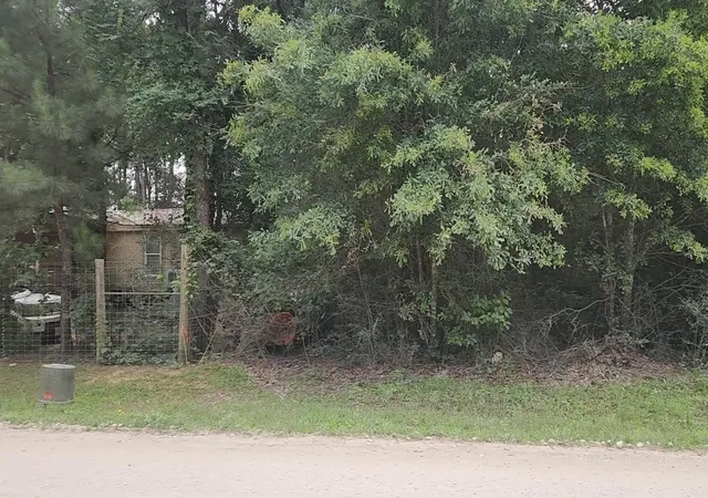 Homes for sale in Plantersville, TX | Lot 5 B55 Tawnyberry Ln, Plantersville, TX 77363 | MLS# 2607712