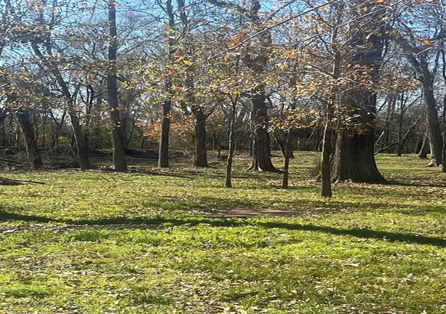 Photo 3 of Land for sale at 0 Mcgregor, Conroe, TX 77302 | MLS# 80434602 | Listing updated on 2026-08-24