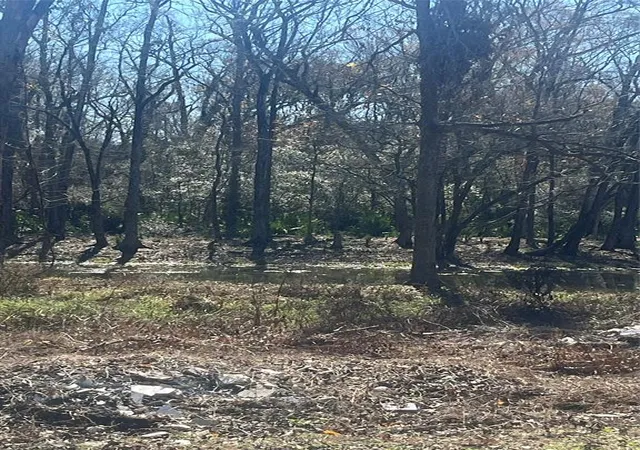 Photo 3 of Land for sale at 0 Mcgregor, Conroe, TX 77302 | MLS# 80434602 | Listing updated on 2026-08-24
