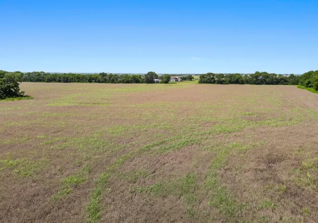 Photo 2 of Land for sale at 12380 County Road 633, Blue Ridge, TX 75424 | MLS# 82359100 | Listing updated on 2026-09-08