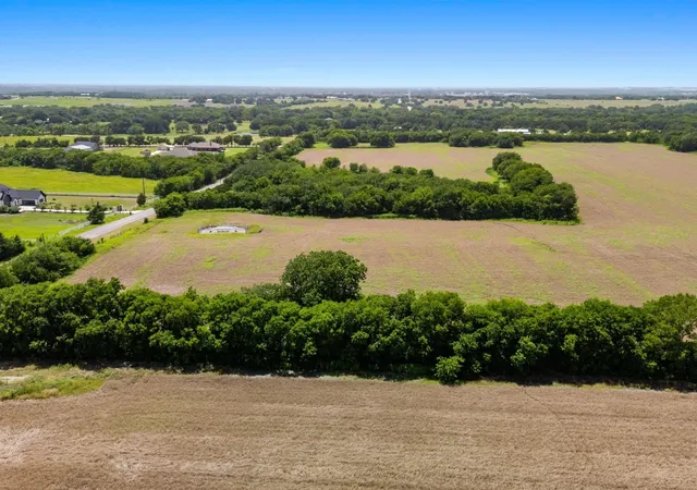 Photo 3 of Land for sale at 12380 County Road 633, Blue Ridge, TX 75424 | MLS# 82359100 | Listing updated on 2026-09-08