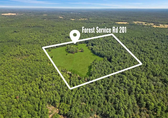 10th image of 00 Forest Service Road 201, Cleveland, TX 77328 | MLS# 34099939