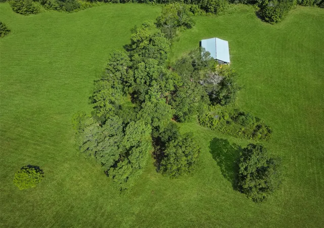 2nd image of 00 Forest Service Road 201, Cleveland, TX 77328 | MLS# 34099939