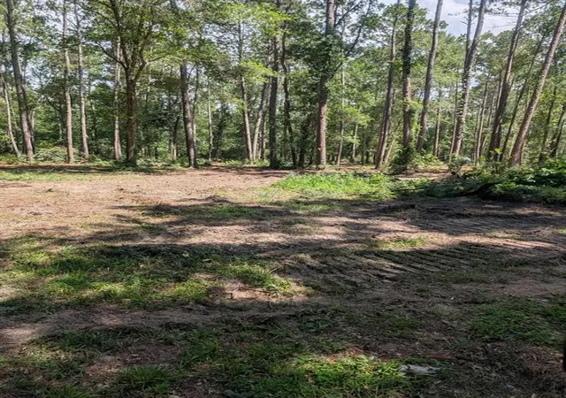 2nd image of 00 Dulaney St, Splendora, TX 77372 | MLS# 98546619