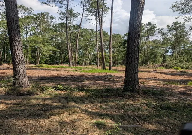 3rd image of 00 Dulaney St, Splendora, TX 77372 | MLS# 98546619
