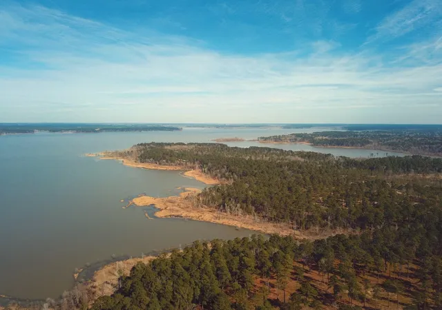 Land for sale at 021 Private Rd 6028, Brookeland, TX 75931 | MLS# 9153501