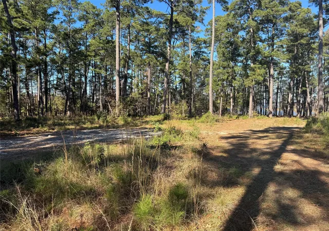 Photo 2 of Land for sale at 021 Private Rd 6028, Brookeland, TX 75931 | MLS# 9153501 | Listing updated on 2026-09-01