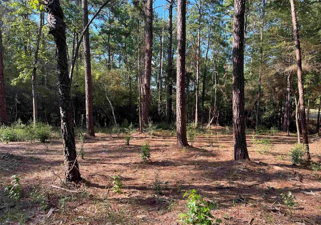 Photo 3 of Land for sale at 021 Private Rd 6028, Brookeland, TX 75931 | MLS# 9153501 | Listing updated on 2026-09-01