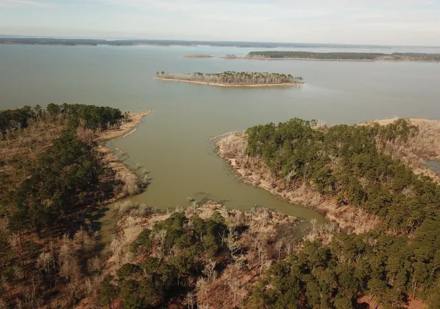 Photo 3 of Land for sale at 021 Private Rd 6028, Brookeland, TX 75931 | MLS# 9153501 | Listing updated on 2026-09-01