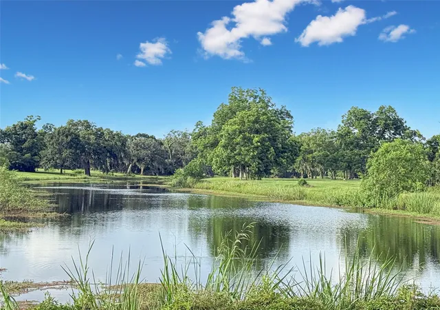 5th image of 807 Mill Rd, Angleton, TX 77515 | MLS# 43336889