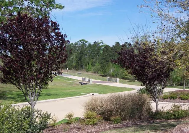 Photo 4 of Land for sale at 12627 Shady Woods Trl, Montgomery, TX 77316 | MLS# 56695512 | Listing updated on 2026-06-18
