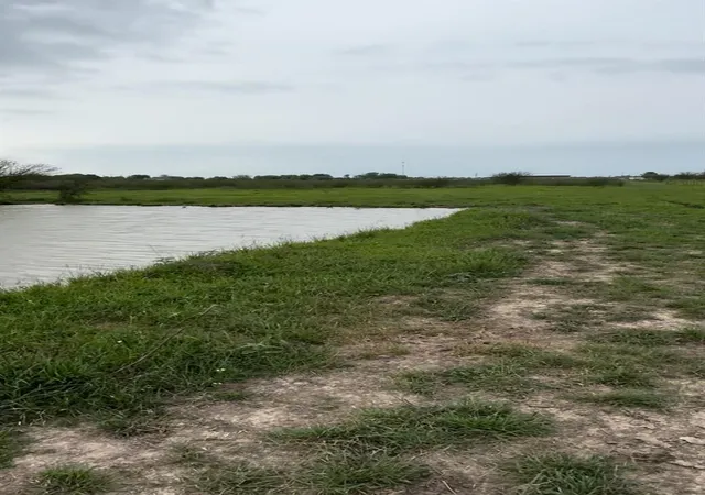 13th image of 36847 Richard Frey Dr, Hempstead, TX 77445 | MLS# 7974183