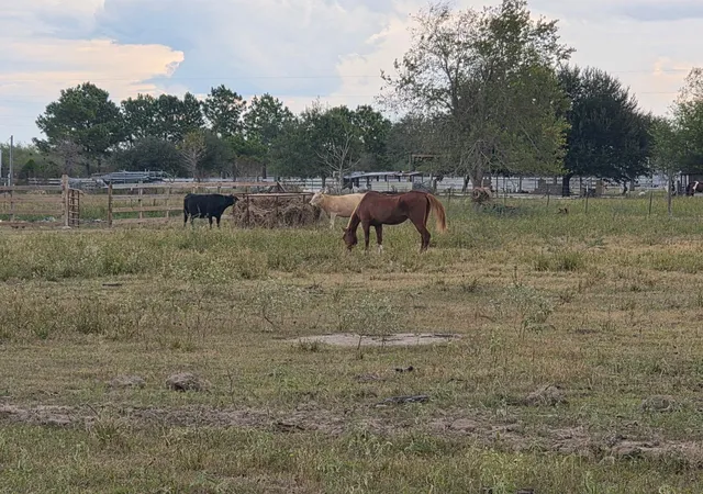 1st image of 36847 Richard Frey Dr, Hempstead, TX 77445 | MLS# 7974183