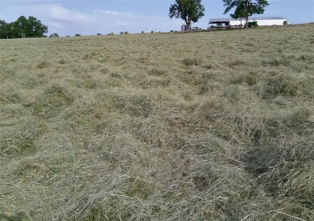 Photo 49 of Land for sale at 3283 2 Fm 2562 Rd, Anderson, TX 77830 | MLS# 16022595 | Listing updated on 2026-07-02