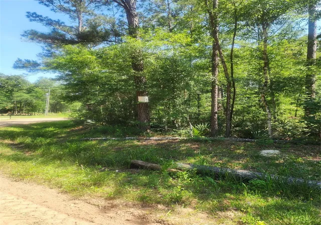 Photo 3 of Land for sale at 03 Cindy Ln, Shepherd, TX 77371 | MLS# 77153072 | Listing updated on 2026-05-14