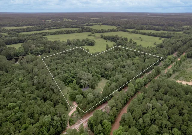 3rd image of 347 Shelby, Livingston, TX 77351 | MLS# 58074458
