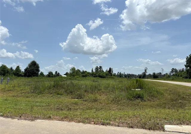 Land for sale at 121 Road 5888, Cleveland, TX 77327 | MLS# 11530100