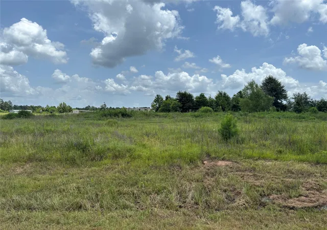 Photo 3 of Land for sale at 121 Road 5888, Cleveland, TX 77327 | MLS# 11530100 | Listing updated on 2026-08-01