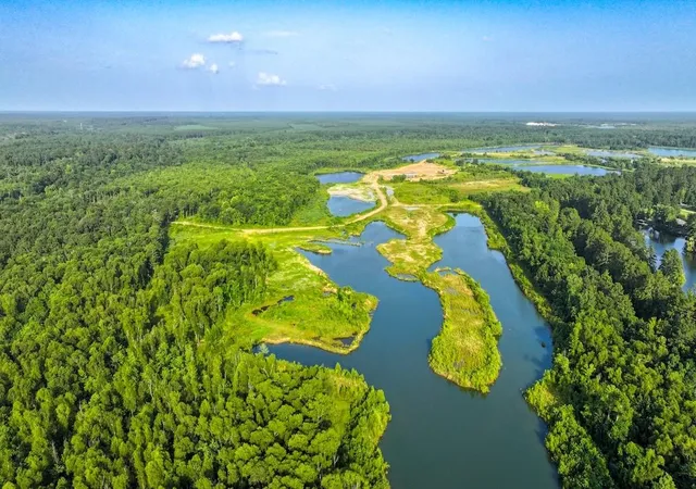 Photo 2 of Land for sale at 0 Fm 787, Cleveland, TX 77327 | MLS# 34509690 | Listing updated on 2026-09-01