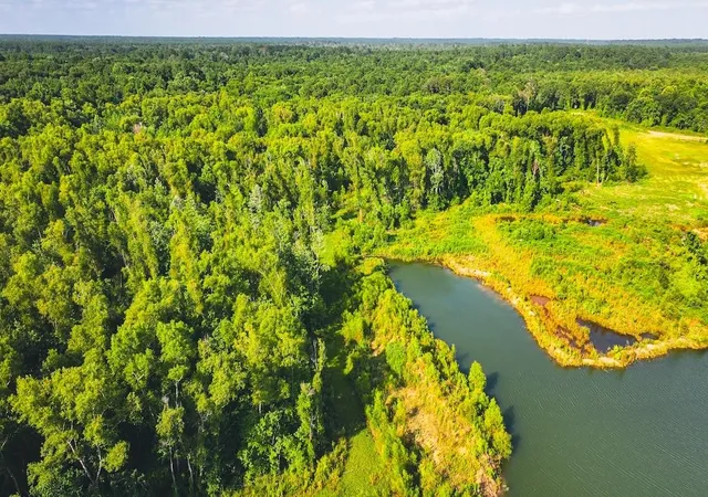 Photo 50 of Land for sale at 0 Fm 787, Cleveland, TX 77327 | MLS# 34509690 | Listing updated on 2026-09-01
