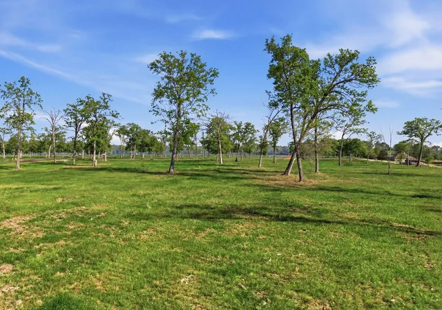 5th image of Lot 1 Island View, Livingston, TX 77351 | MLS# 26822431