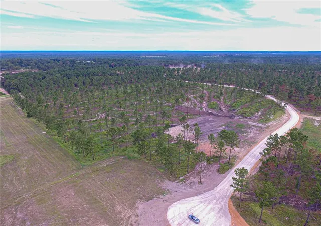 Photo 3 of Land for sale at 0010 Nelson Dr, Livingston, TX 77351 | MLS# 88162739 | Listing updated on 2026-04-01