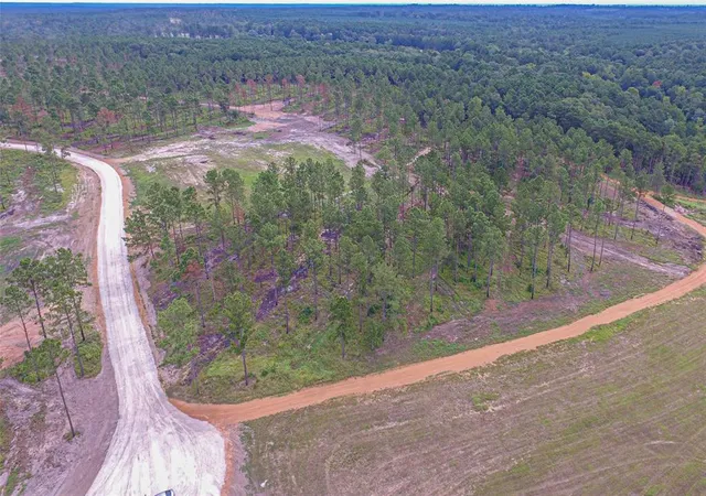 Photo 3 of Land for sale at 0010 Nelson Dr, Livingston, TX 77351 | MLS# 88162739 | Listing updated on 2026-04-01